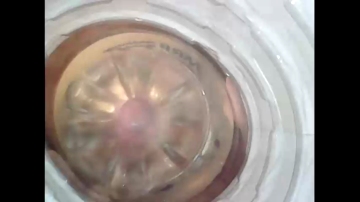 Germannoodle  18-12-2021 video blush